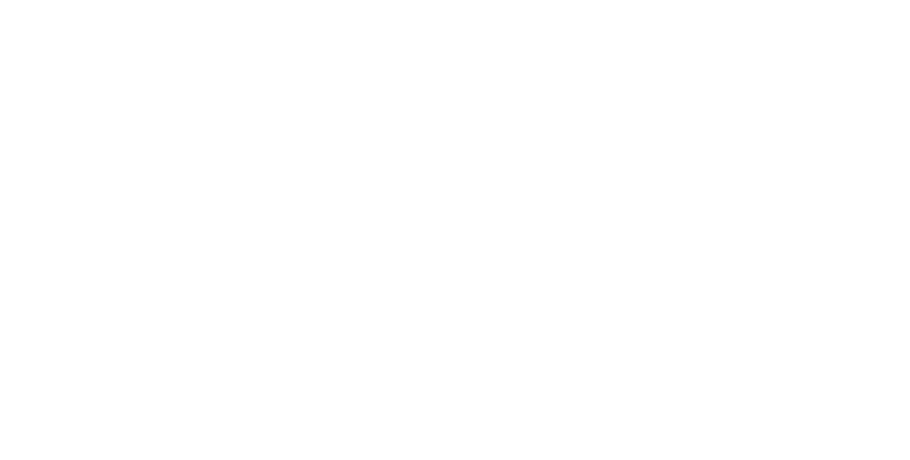 RED: Reno Experience District
